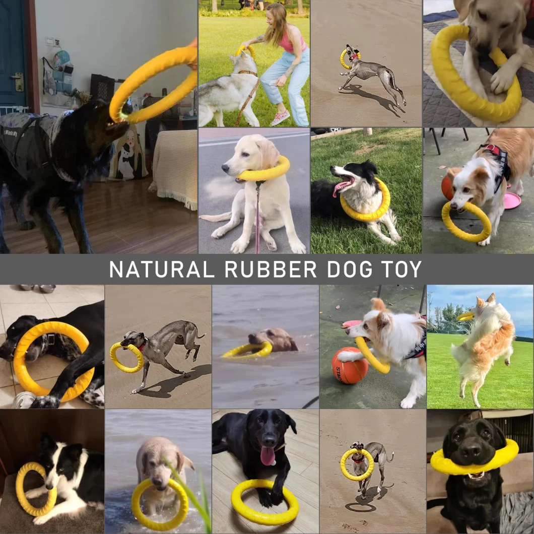 Dog Outdoor Fetch Play Other Toys Interactive Chewing Flying Ring Toys for Dog